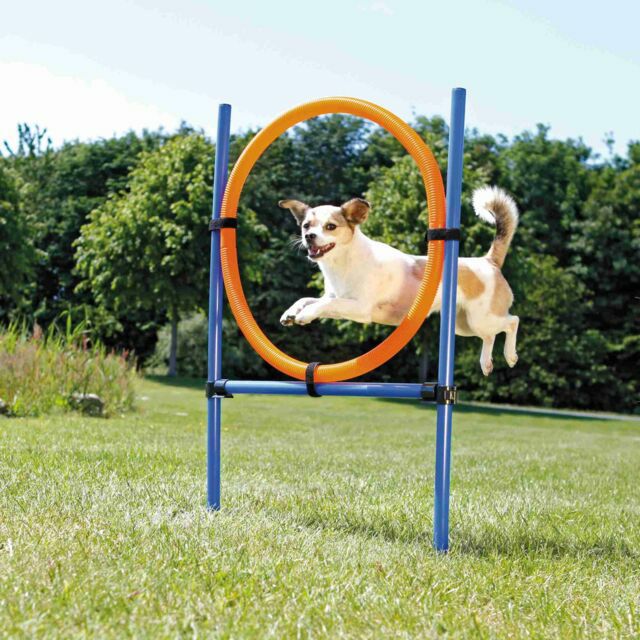 犬用 知育玩具 パズルトイ｜犬用 アジリティグッズ TRIXIE トリクシー