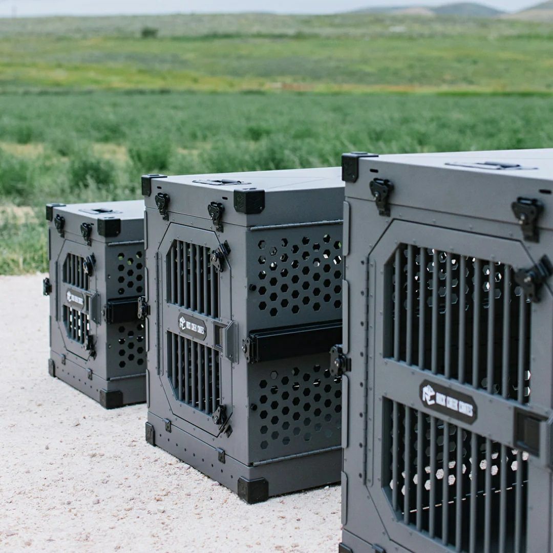 ROCK CREEK CRATES コラプシブル XXL 48インチ｜超大型犬用 折りたたみ