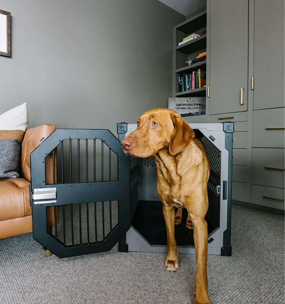 ALLFORWAN'sLIFE犬用 ケージ ROCKCREEKCRATES ステーショナリードッグ