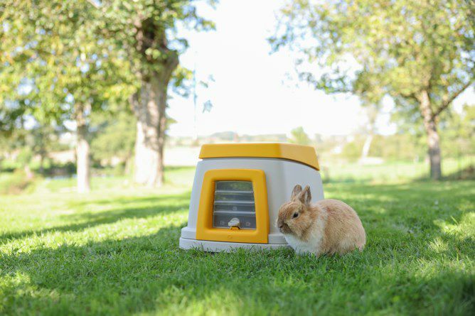 小動物用 ケージ SAVIC ベルギーサヴィッチ ラビットケージ シーザー4