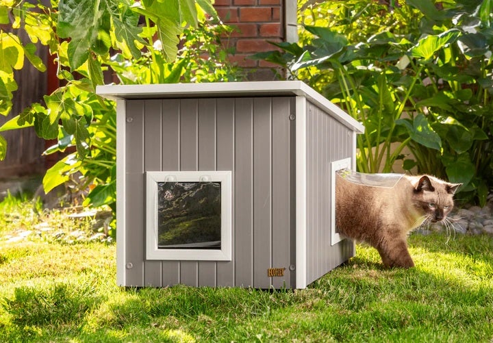㉘★キャットベッド★ハウス★テラス付き★ハンドメイド★猫★猫小屋 猫用 キャットタワー ニューエイジペット NEWAGEPET アルバニー