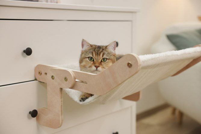 猫用 爪とぎポール｜猫用 キャットタワー KERBL ケアブル ハンモック