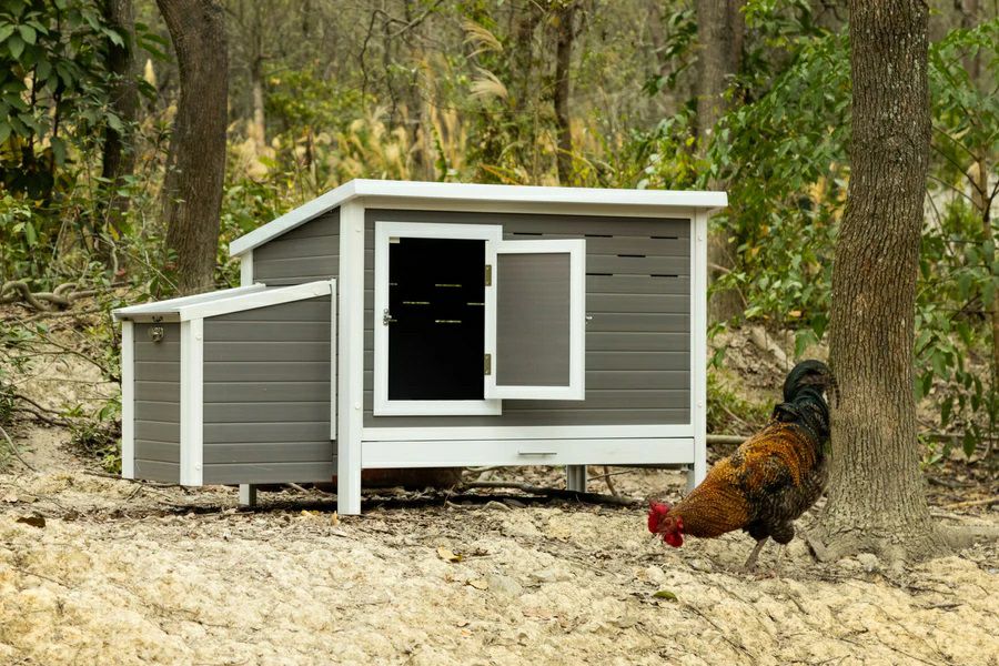 ニューエイジペット 鳥用品｜屋外用鶏舎・チキンコープ