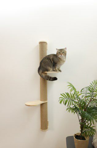 猫用 爪とぎポール｜猫用 キャットタワー KERBL ケアブル 壁取り付け