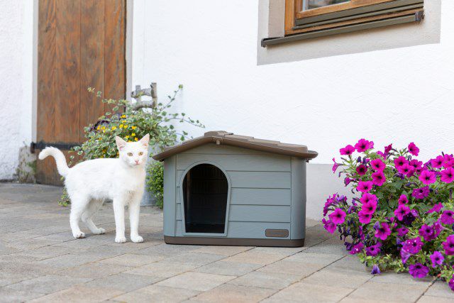 猫ハウス　キャットハウス　外猫ハウス　２個セット 楽天市場】猫ハウス 防寒 屋外用 犬小屋 寒さ対策 2点セット 犬ハウス