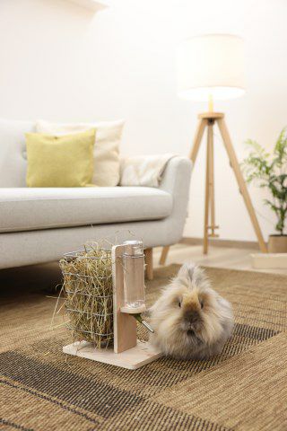 小動物用 ケージ SAVIC ベルギーサヴィッチ ラビットケージ