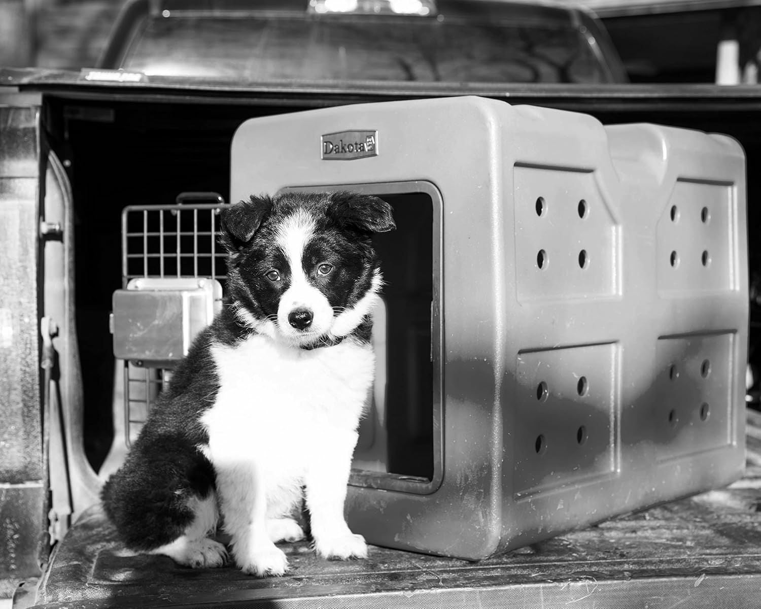 DAKOTA 283 G3｜アメリカ製 頑丈な犬用クレート・車載ケネル