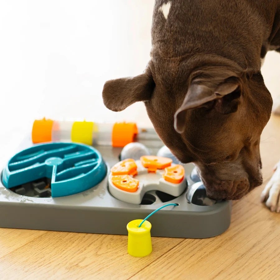 犬用 おもちゃ MessyMutts メッシーマット フリップンスライドパズラー