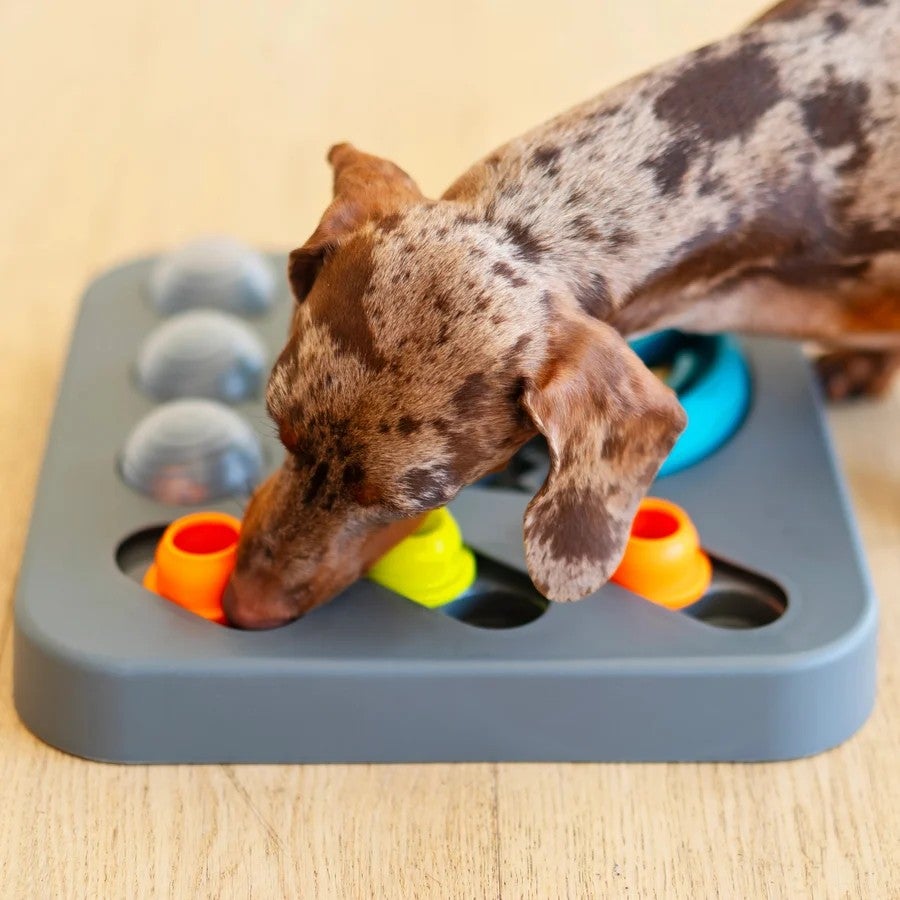 犬用 知育玩具 MessyMutts メッシーマット フリップ＆スライド