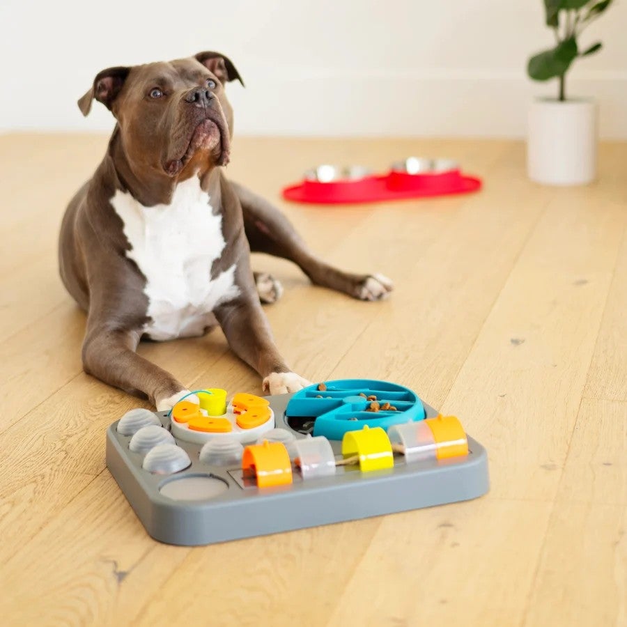 犬用 知育玩具 MessyMutts メッシーマット フリップ＆スライド