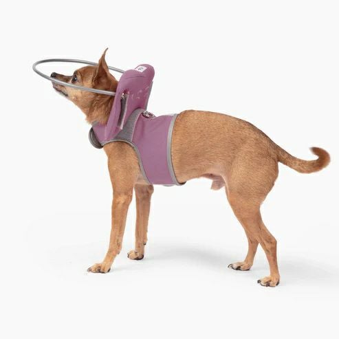 犬用 エリザベスカラー Muffin's Halo マフィンズヘイロー ピンク 犬