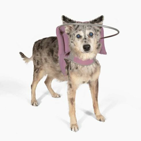 犬用 エリザベスカラー Muffin's Halo マフィンズヘイロー ピンク 犬