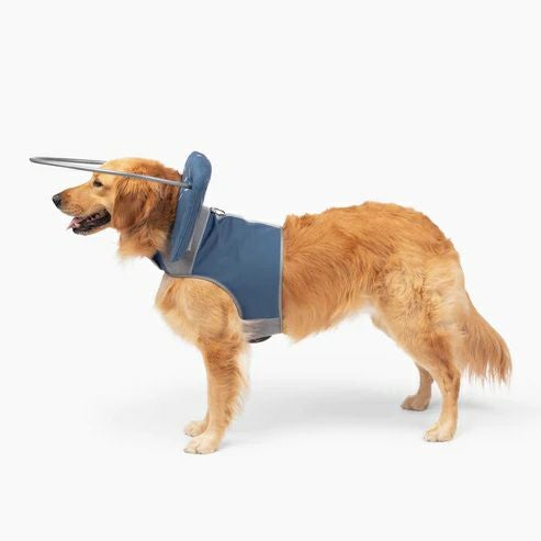 犬用 エリザベスカラー Muffin's Halo マフィンズヘイロー ブルー 犬