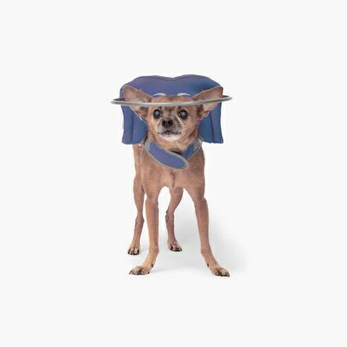 犬用 エリザベスカラー Muffin's Halo マフィンズヘイロー ブルー 犬 犬用 エリザベスカラー Muffin's Halo マフィンズヘイロー ブルー 犬