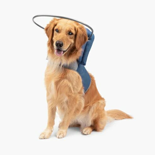 犬用 エリザベスカラー Muffin's Halo マフィンズヘイロー ブルー 犬