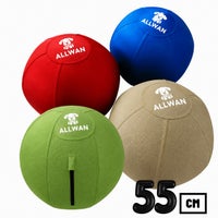 犬用 おもちゃ ALLWAN オールワン オリジナルバウンドボール 55cm