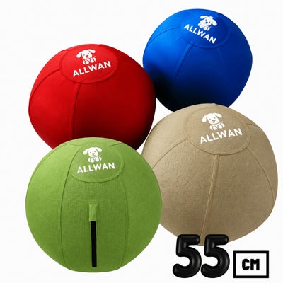 犬用 おもちゃ ALLWAN オールワン オリジナルバウンドボール 55cm