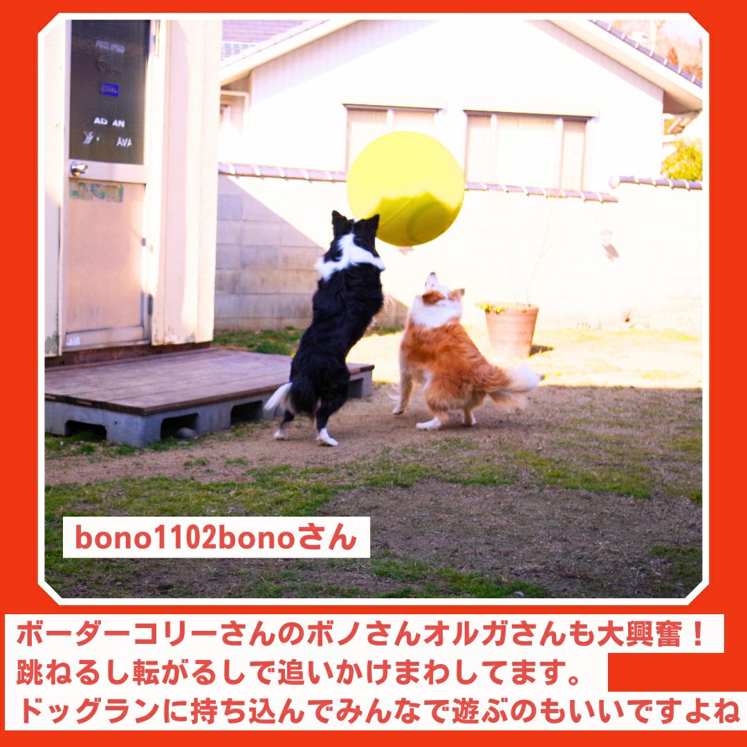 ALLWANパワフルプレイボール｜犬の運動不足解消に高耐久な犬用ボール