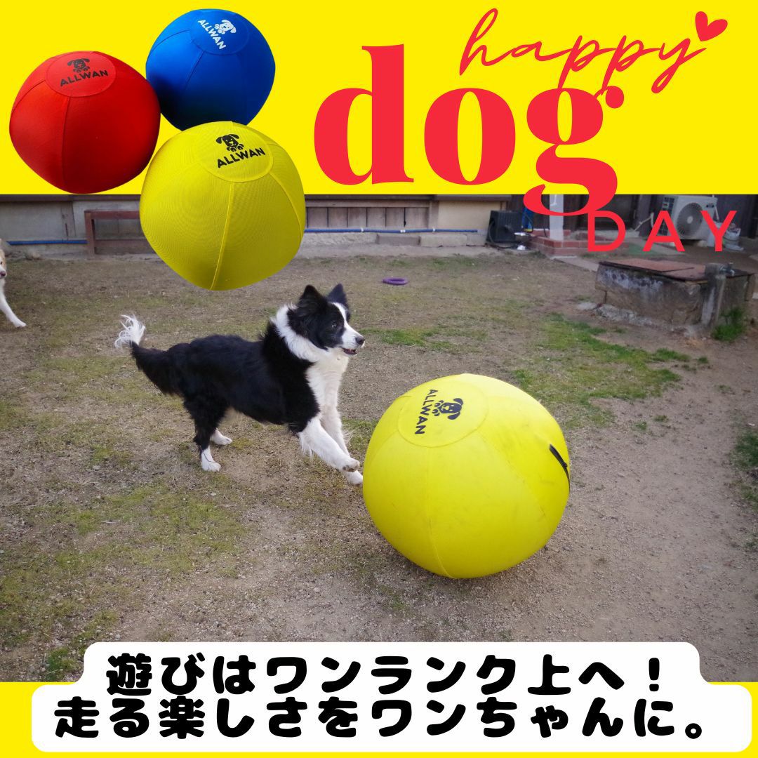 犬用 追いかけっこボール 犬用大型ボール｜エンリッチメント パワフルプレイボール 35・45・55cm