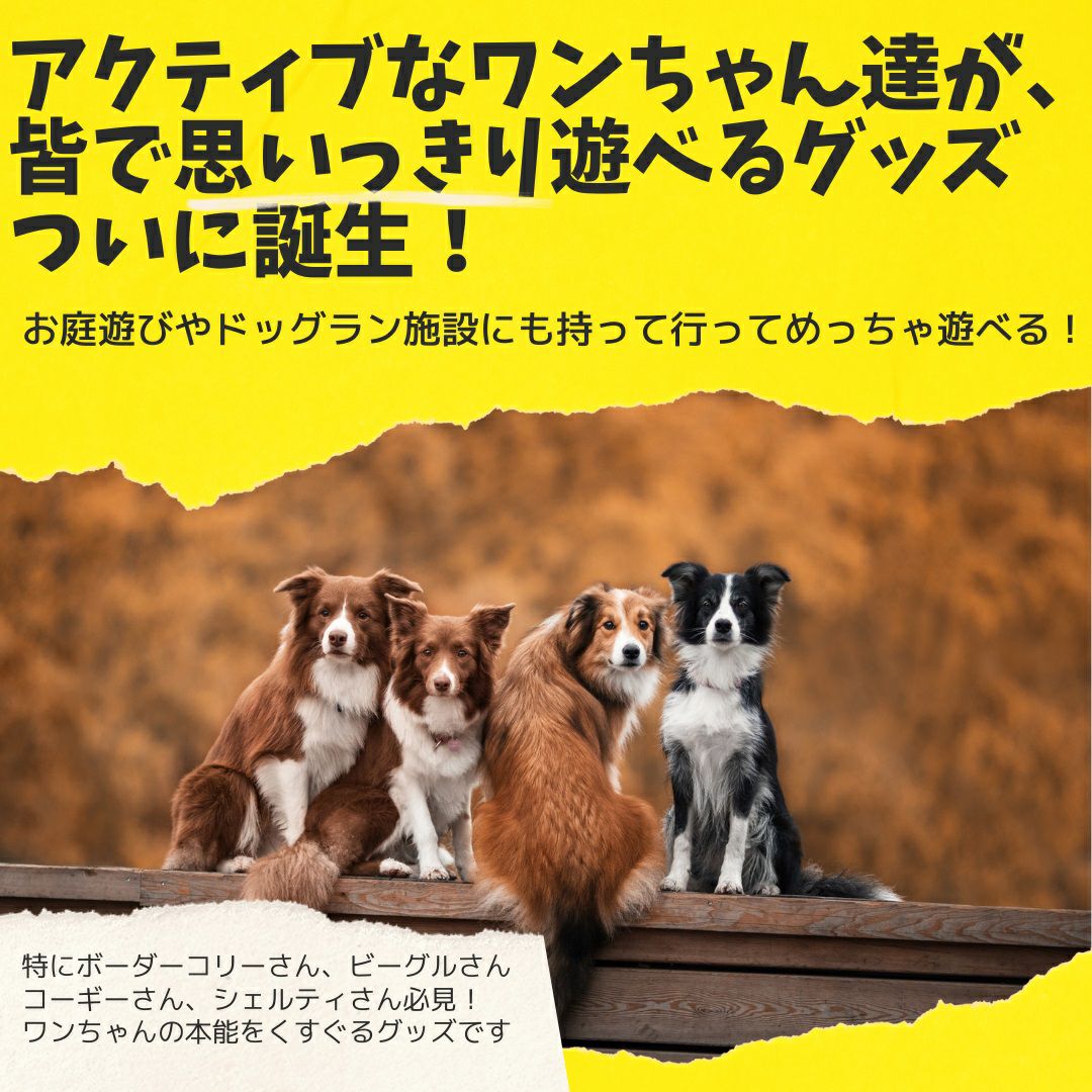 犬用大型ボール ALLWAN パワフルプレイボール 35cm