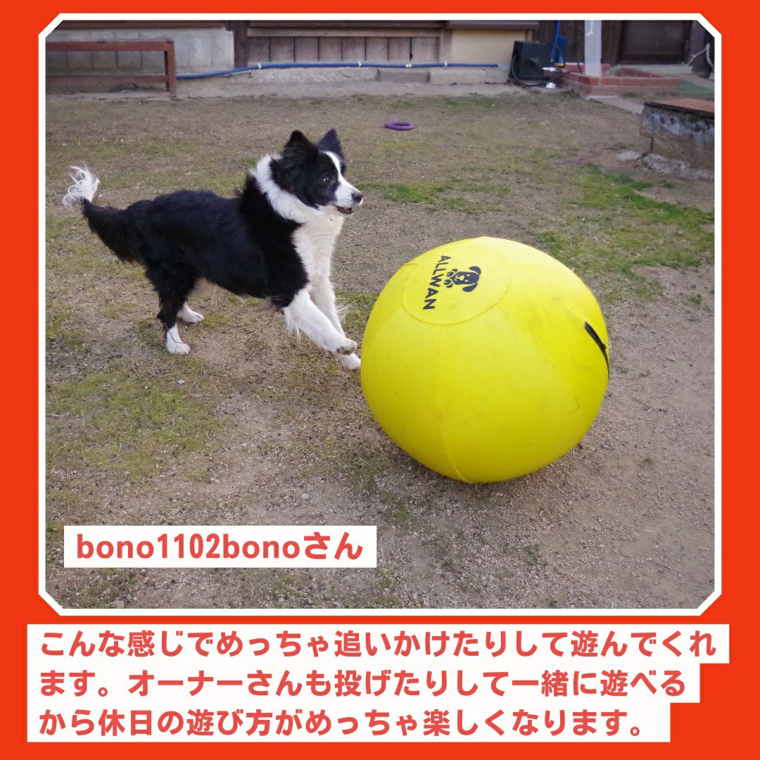 犬用 大型ボール｜犬用大型ボール ALLWAN パワフルプレイボール 35cm