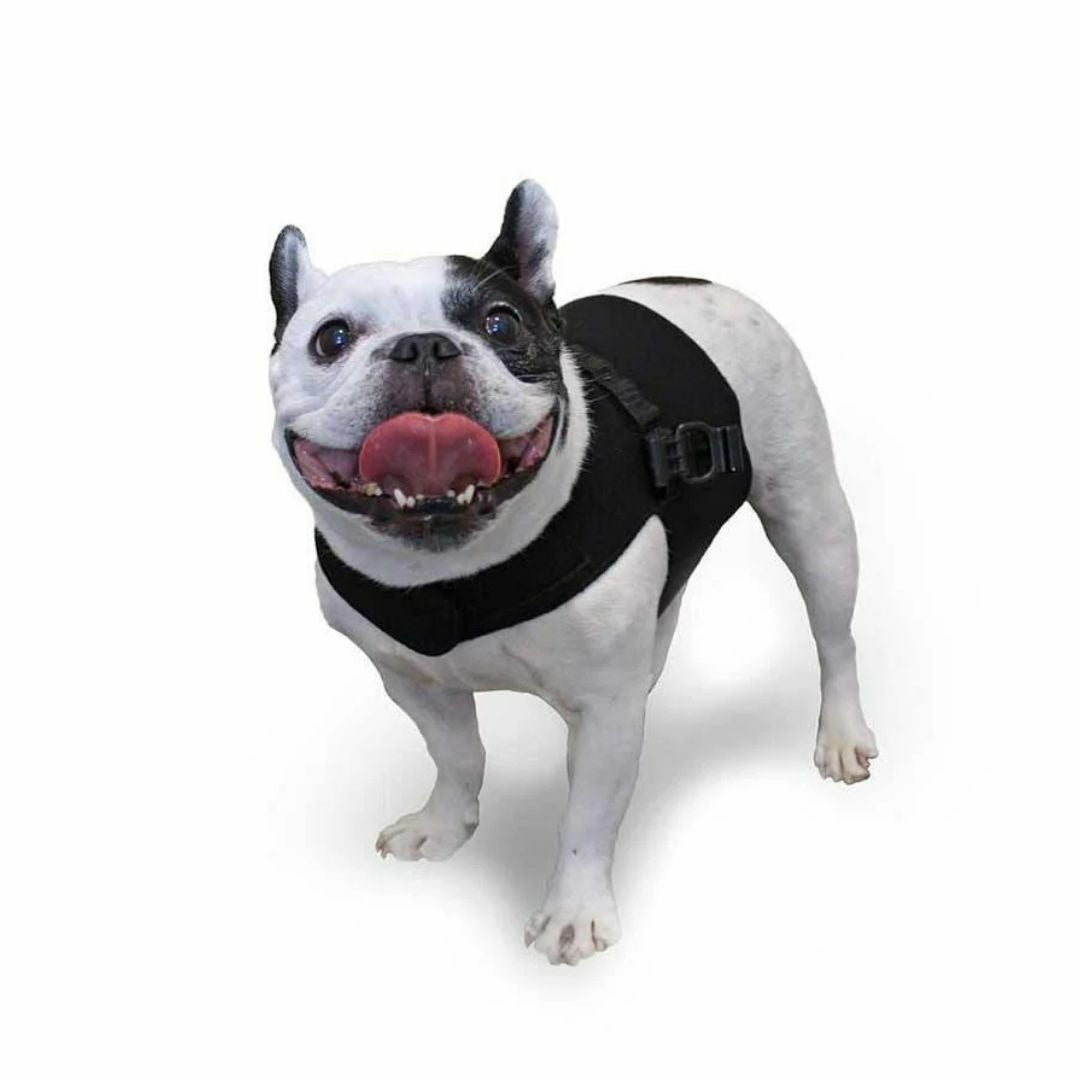 犬用介護用品通販｜海外ペット用品｜ALLFORWAN'S LIFE