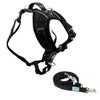 犬用 リード FitPAWS Made to Move ハーネス＆リードセット