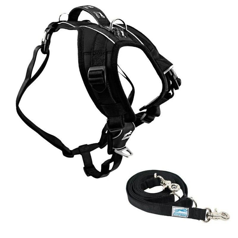 犬用 リード FitPAWS Made to Move ハーネス＆リードセット