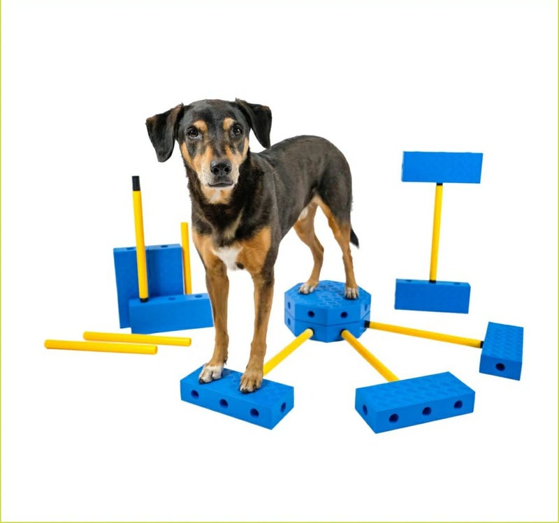 FitPAWS FitKinect EXTRA エクストラ