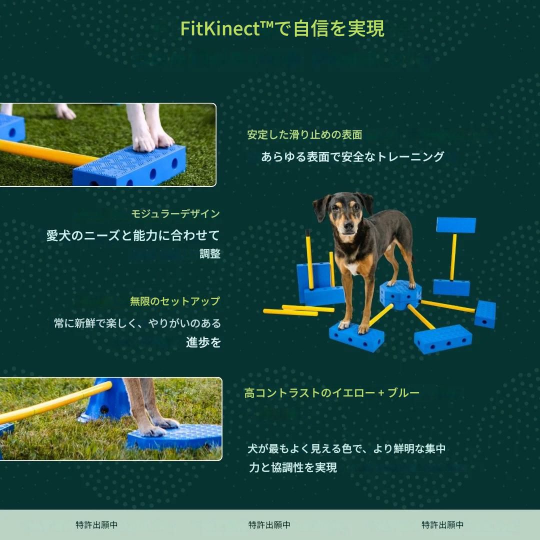 日本総輸入元】FitPAWS フィットコネクト｜犬用知育・体幹トレーニング