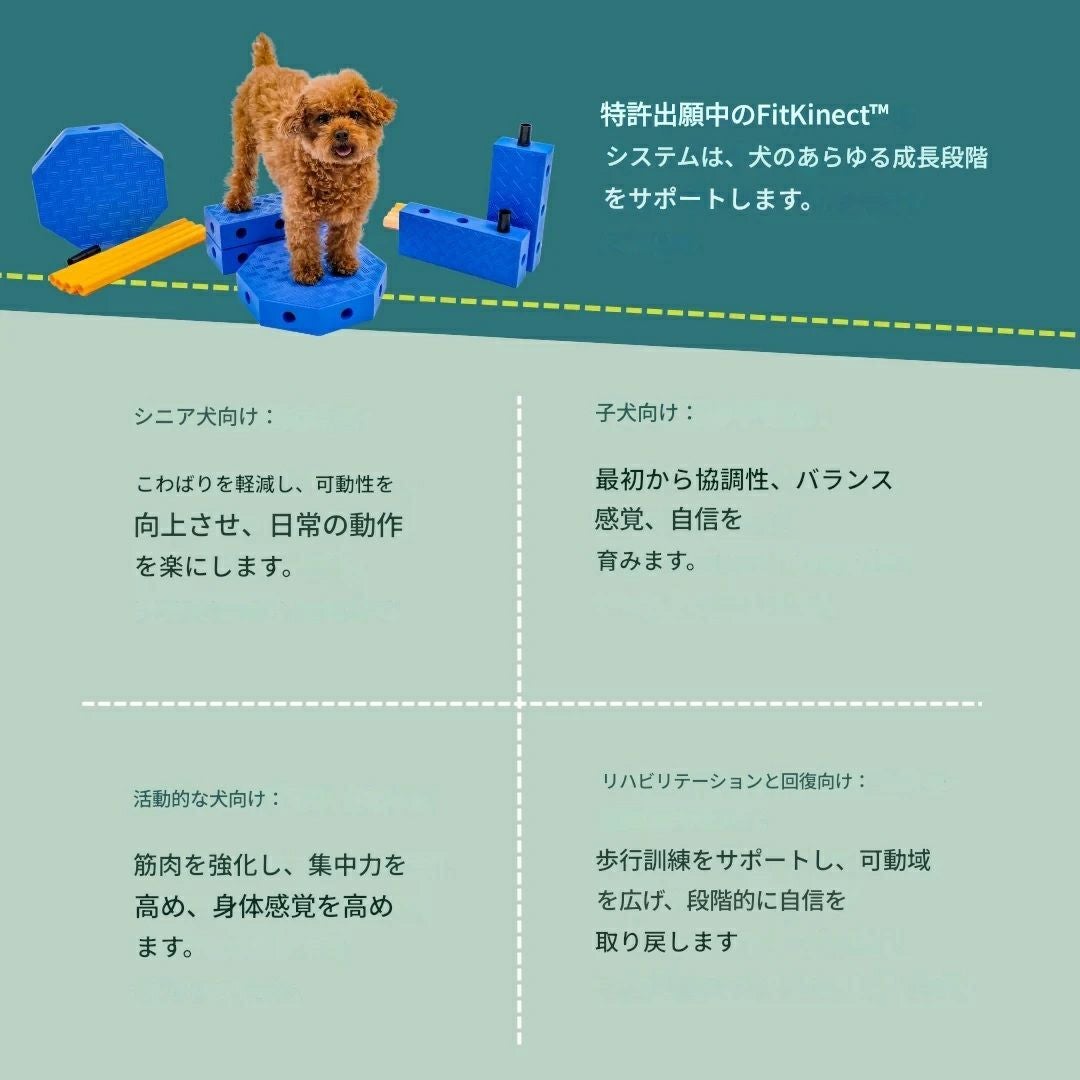 日本総輸入元】FitPAWS フィットコネクト｜犬用知育・体幹トレーニング