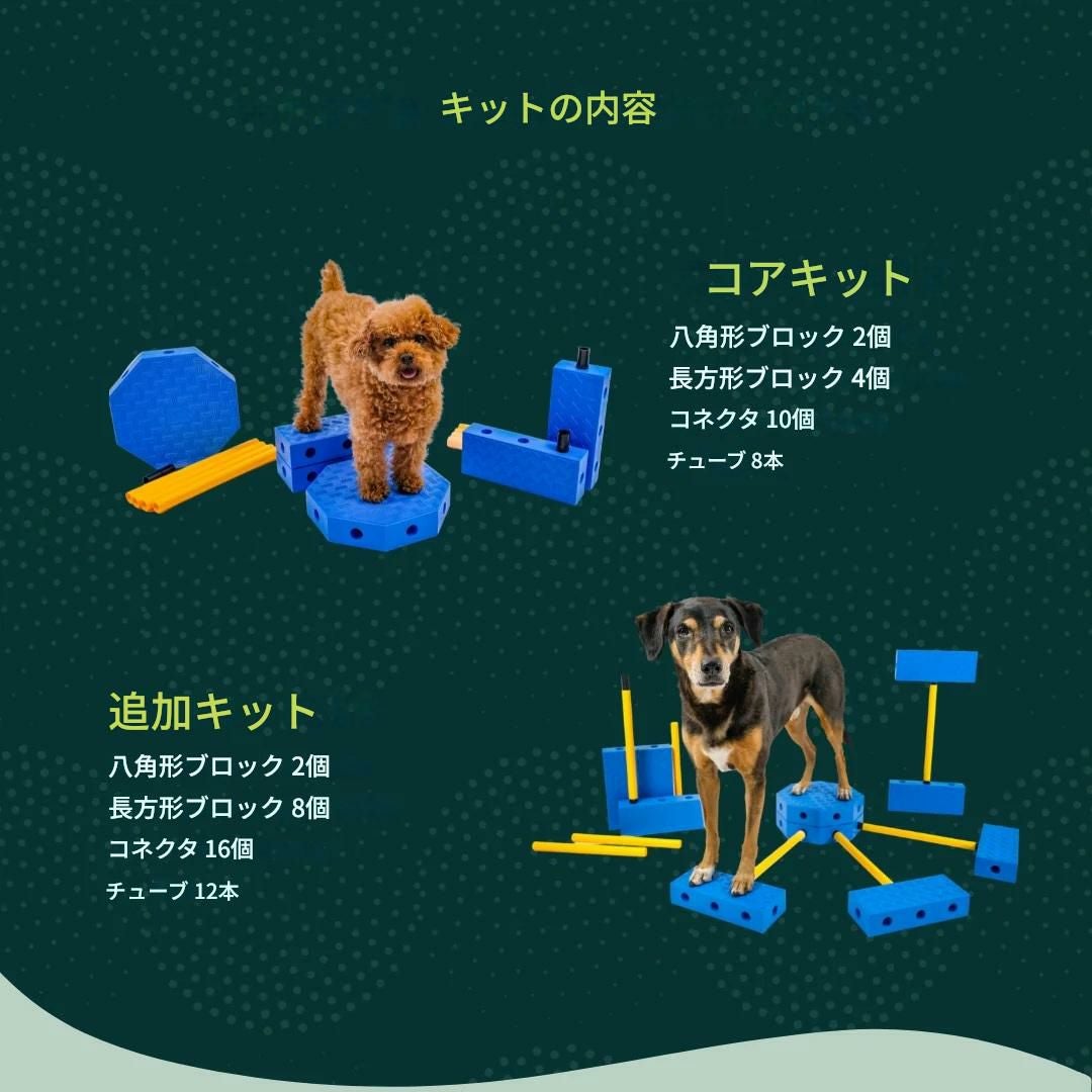 日本総輸入元】FitPAWS フィットコネクト｜犬用知育・体幹トレーニング
