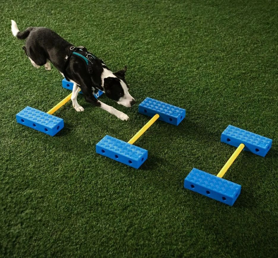 日本総輸入元】FitPAWS フィットコネクト｜犬用知育・体幹トレーニング