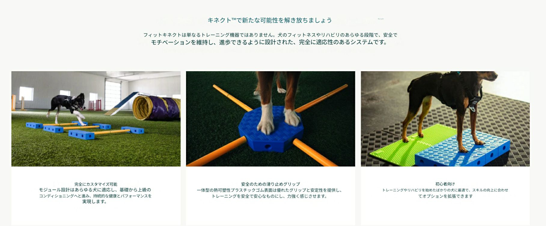 犬用 アジリティグッズ FitPAWS ドッグアジリティ FitKinect