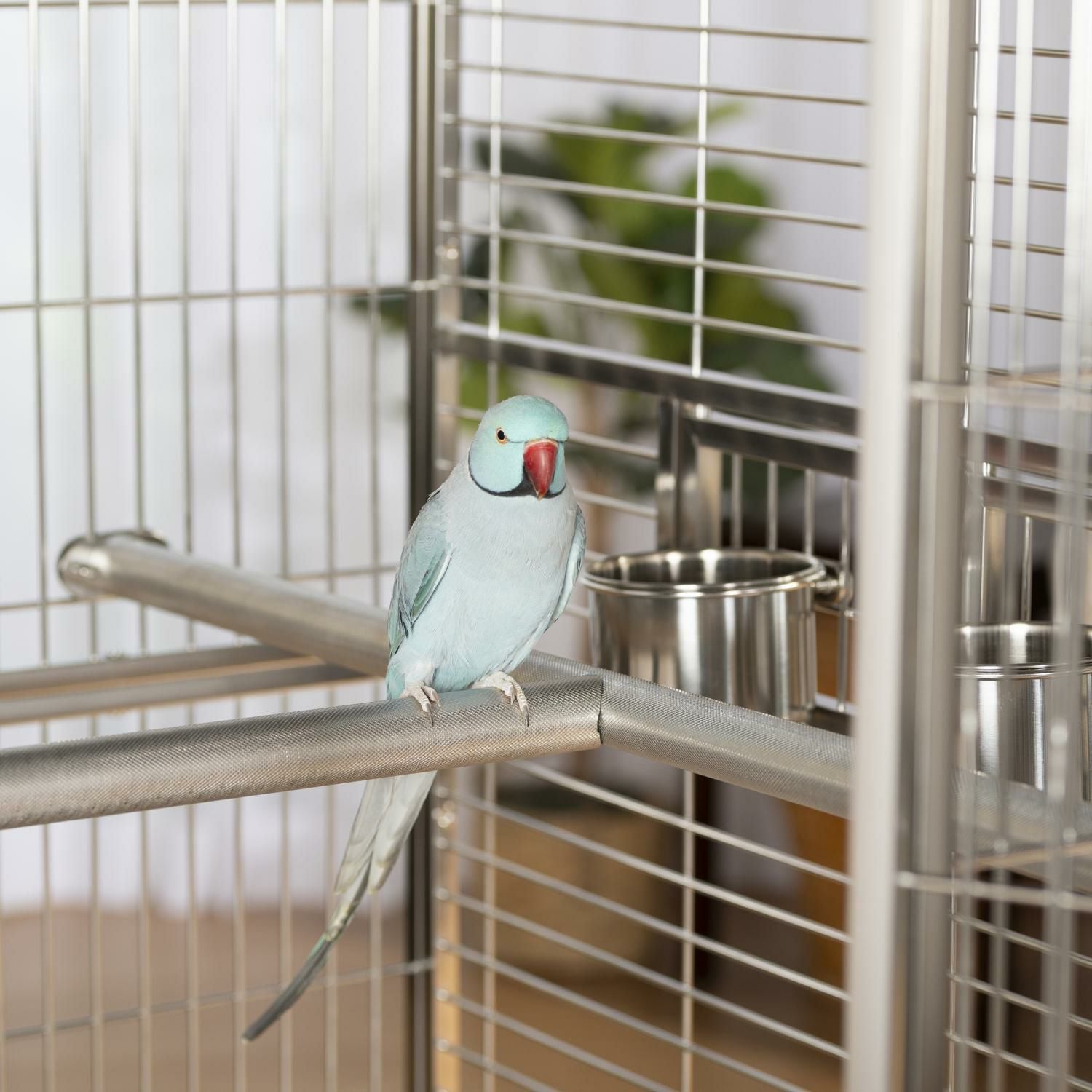 【新年セール！！】PrevuePet バードケージ 鳥かご インコ オウム ペット ハウス 鳥用 鳥かご プレビューペット PrevuePet チャーミングバードケージL