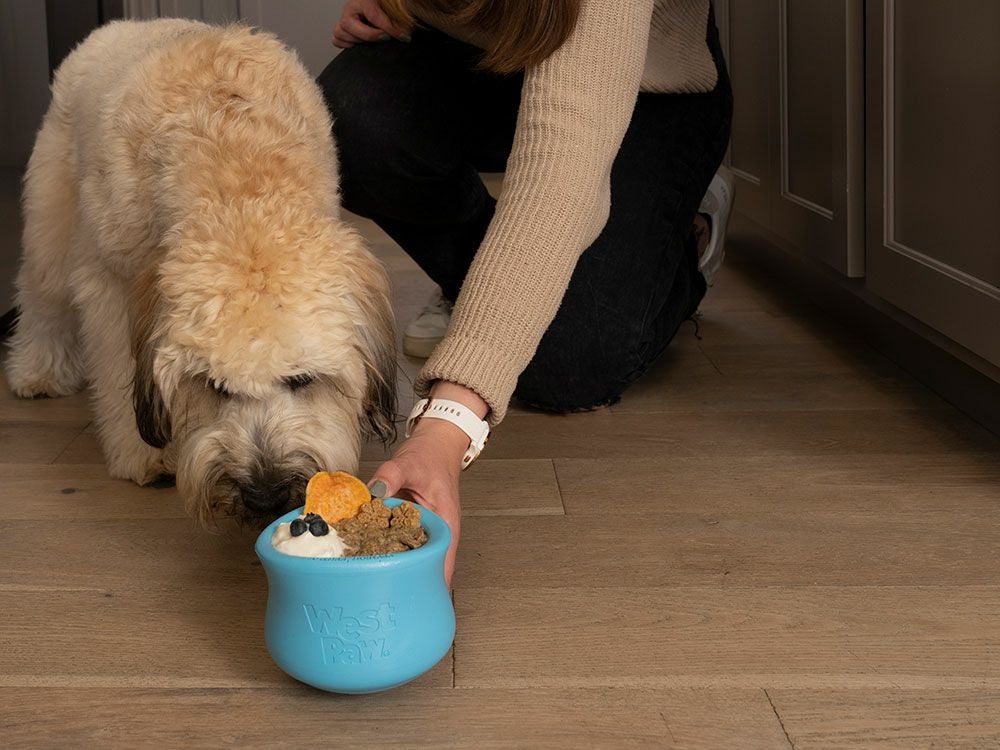 犬用 おもちゃ WESTPAW ウエストポウ ゾゴフレックス タップル