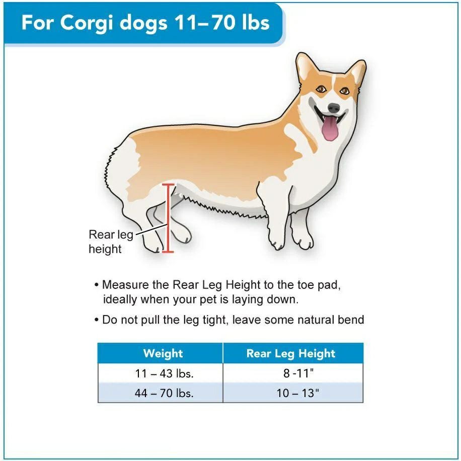コーギー専用 犬用車椅子 Walkin Wheels 正規品