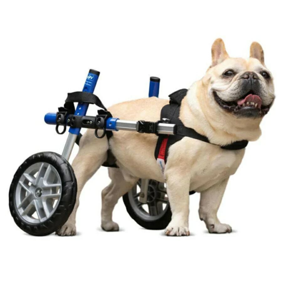 総額16万円以上　犬用車椅子　介護用品 Walkin Wheels 犬用 車椅子 Walkin Wheels ウォーキンホイールズ ドッグホイール