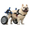犬用 車椅子 Walkin Wheels ウォーキンホイールズ ドッグホイールチェア Sサイズ 小型犬用車椅子
