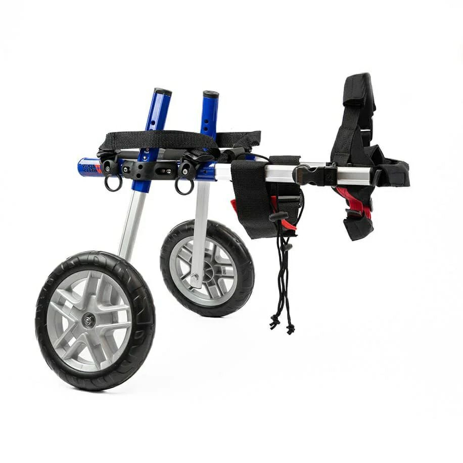 犬用 車椅子｜【正規輸入品】犬用車椅子 Walkin' Wheels 小型犬用｜DM