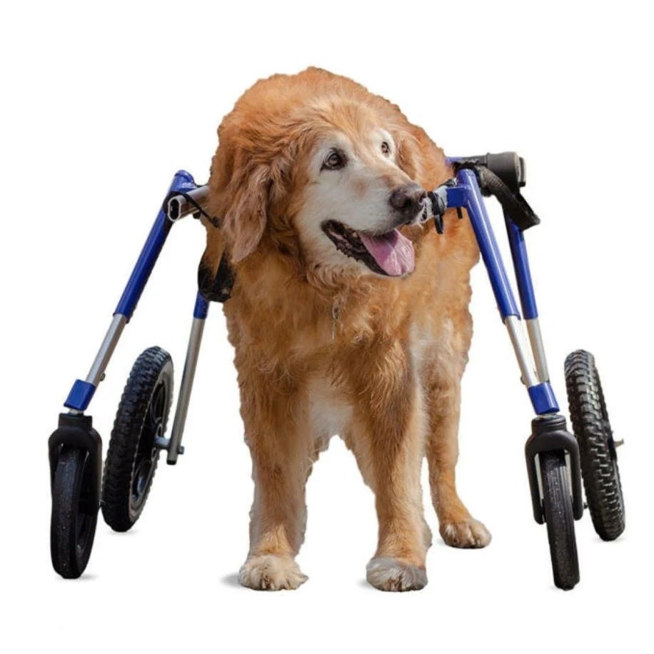 犬用 車椅子 ウォーキンホイールズ ドッグホイールチェア フロントアタッチメント Lサイズ
