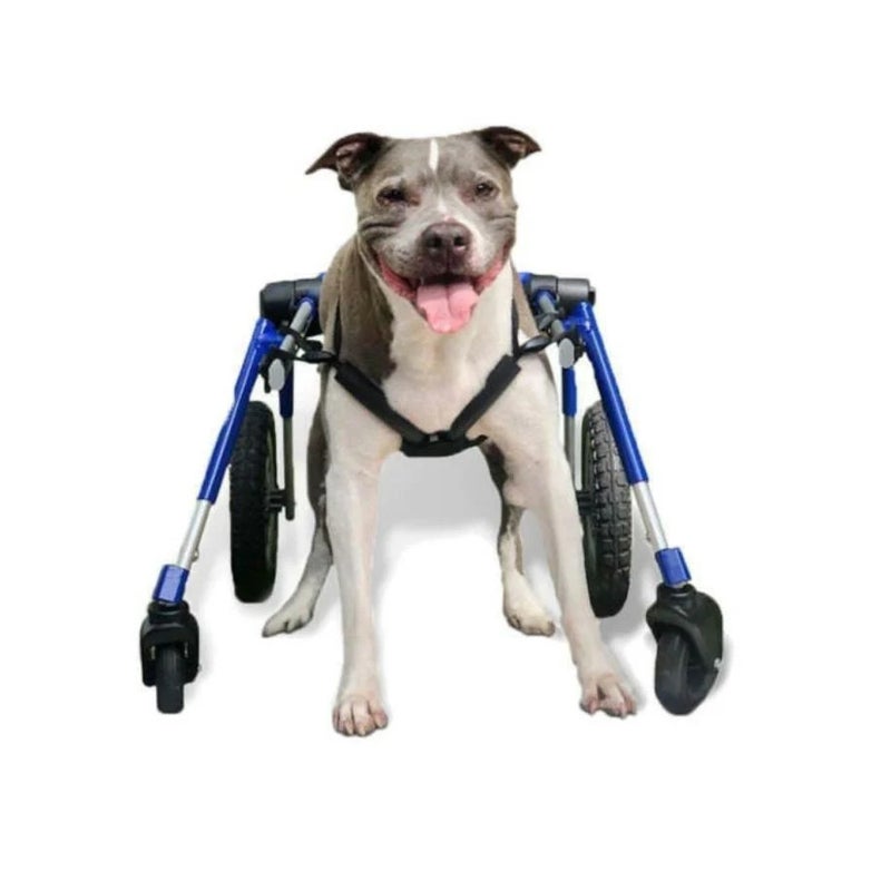 犬用 車椅子 ウォーキンホイールズ ドッグホイールチェア フロントアタッチメント Mサイズ