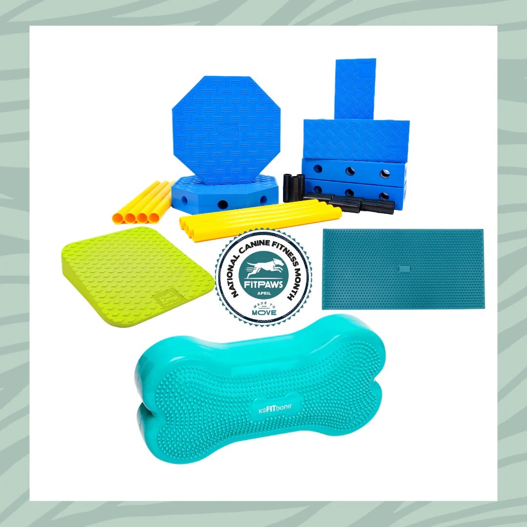 犬用 アジリティグッズ FitPAWS ドッグアジリティ FitKinect ナショナル・キャニオン・フィットネス・マンス限定バンドルキット