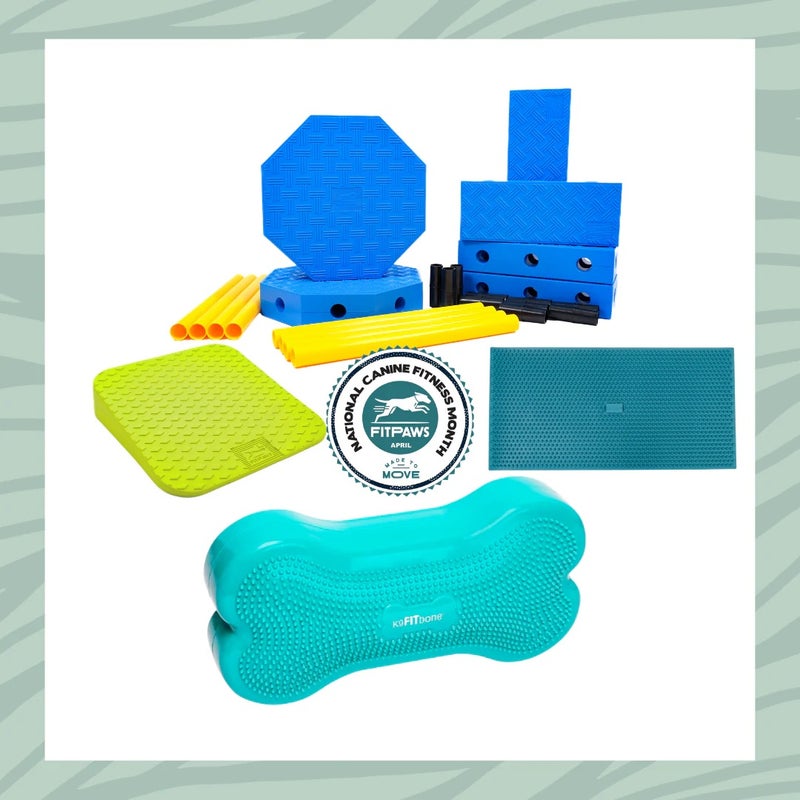 犬用 アジリティグッズ FitPAWS ドッグアジリティ FitKinect ナショナル・キャニオン・フィットネス・マンス限定バンドルキット