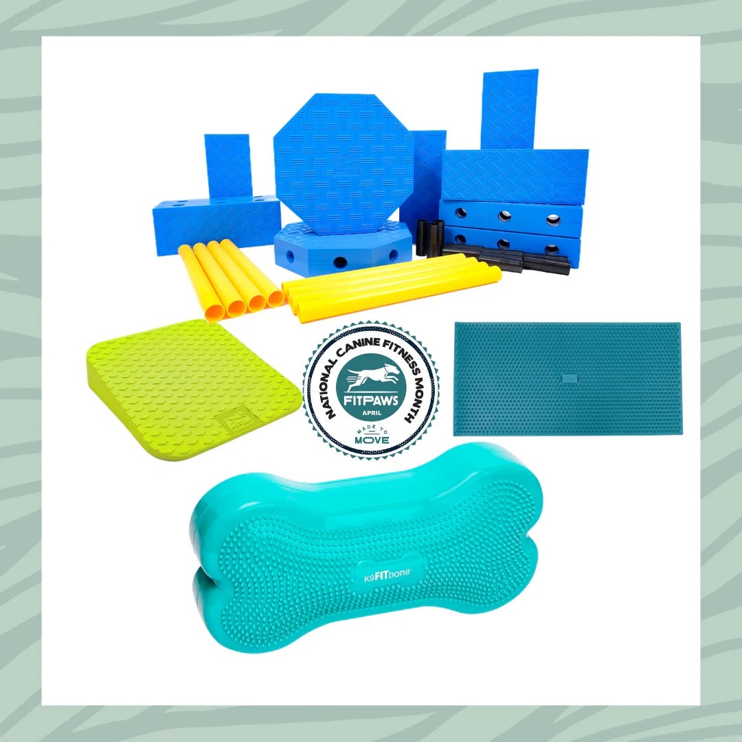 犬用 アジリティグッズ FitPAWS ドッグアジリティ FitKinect エクストラ ナショナル・キャニオン・フィットネス・マンス限定バンドルキット