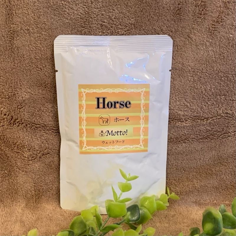 犬用 ドッグフード Motto! ホースウェットフード90g 12個セット
