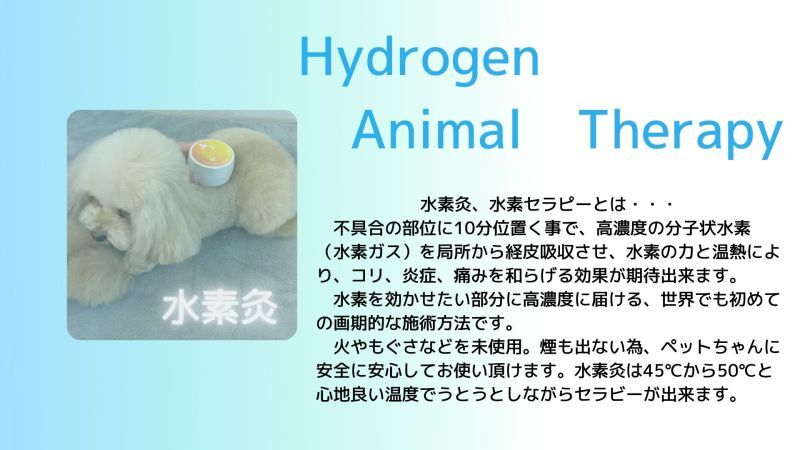 お家で水素灸 初めてミニセット 約16回分｜犬猫用 ナチュラル健康ケア