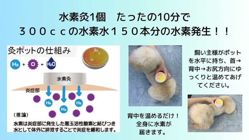 水素灸 マグ 水素灸専用マグ 25g（約83回分）クエン酸付き｜補充用・詰め替え用｜通販