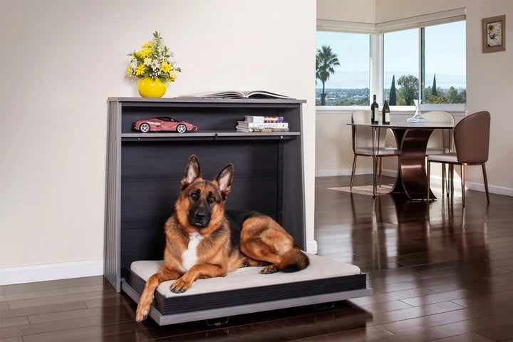 NEWAGEPET Murphy Bed XL 大型犬用収納式ベッド