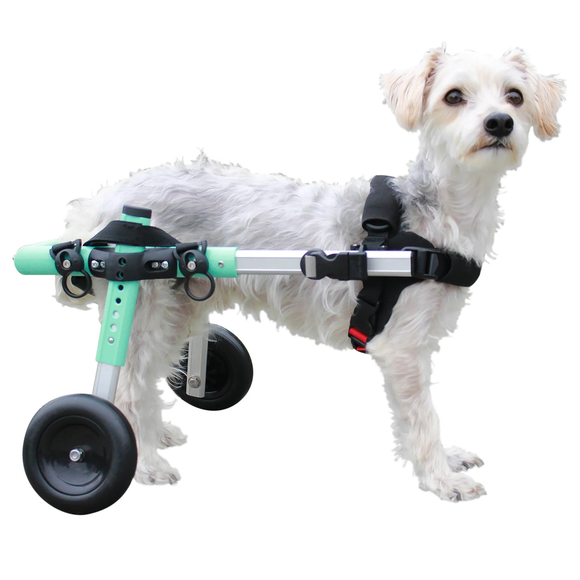 ウォーキンホイールズ　犬 車椅子 犬用 車椅子 小型犬 Walkin Wheels Sサイズ ウォーキンホイールズ